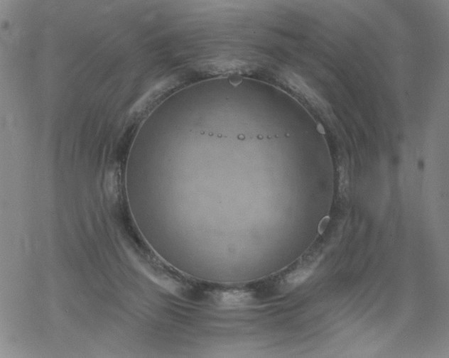 X0000068900165200605122109