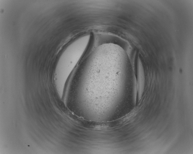 X0000068900168200605122109