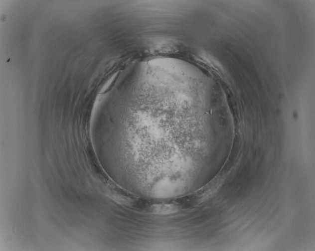 X0000068900169200605122109