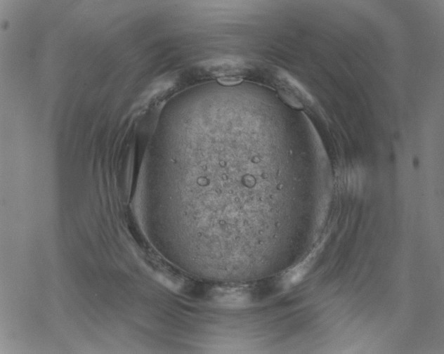 X0000068900170200605122109