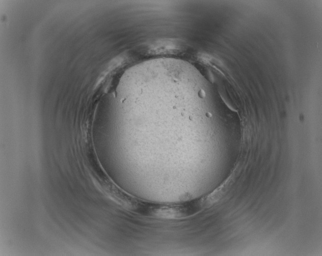 X0000068900171200605122109