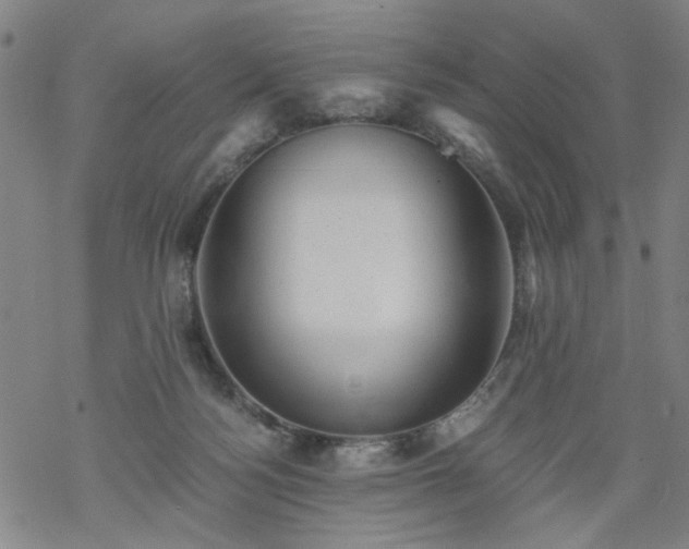 X0000068900172200605122109