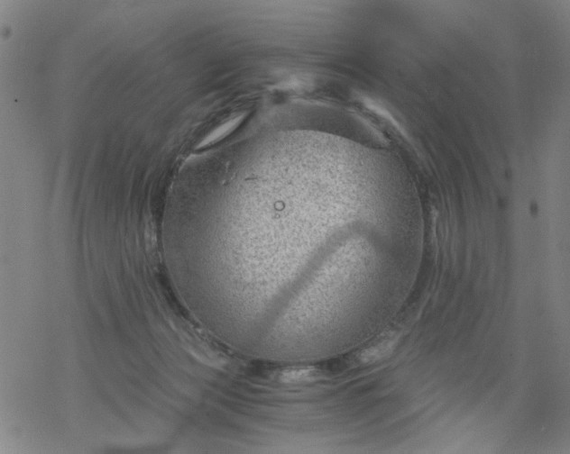 X0000068900173200605122109