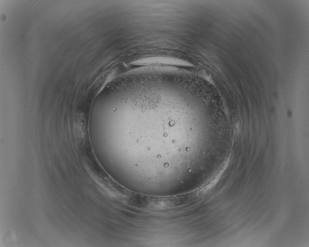 X0000068900174200605122109