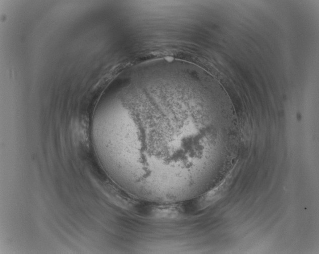 X0000068900175200605122109