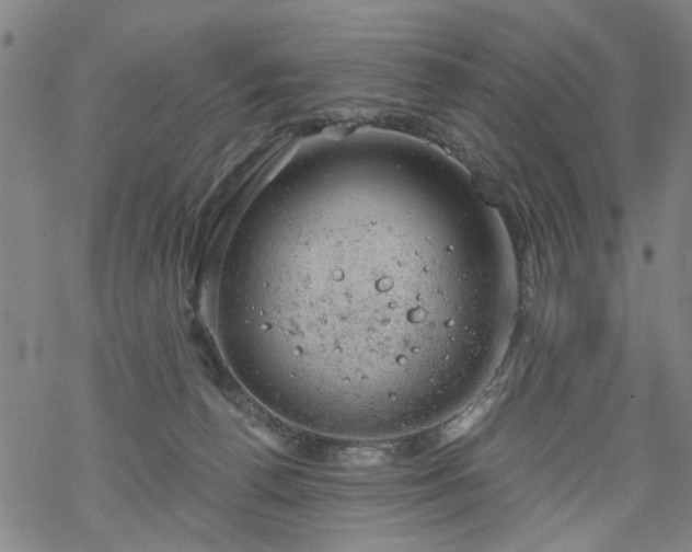 X0000068900176200605122109