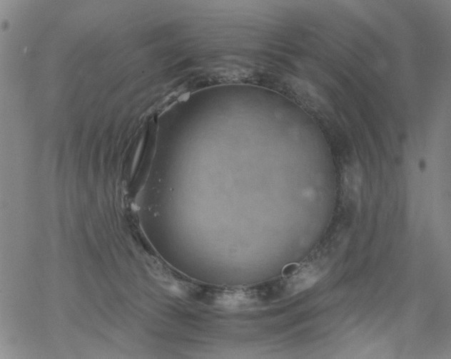 X0000068900177200605122109