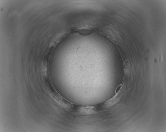 X0000068900179200605122109