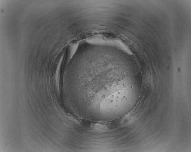 X0000068900180200605122109