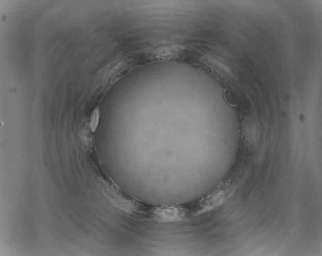 X0000068900181200605122109