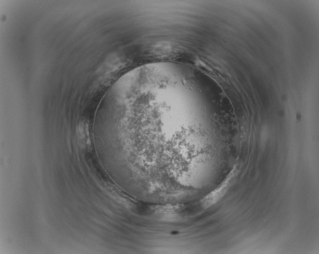 X0000068900182200605122109