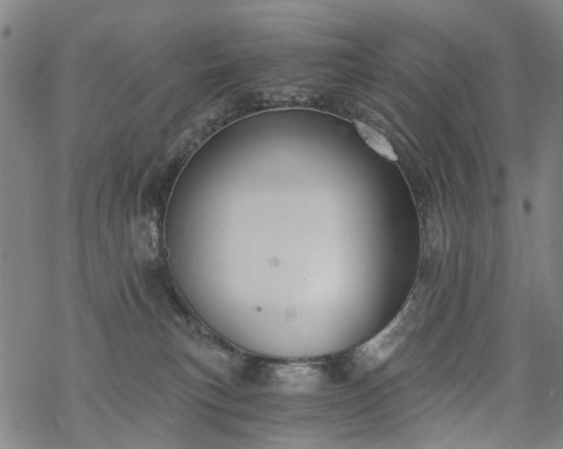 X0000068900183200605122109