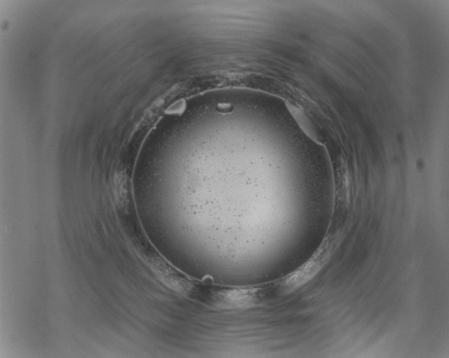 X0000068900184200605122109