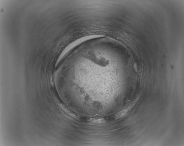 X0000068900185200605122109