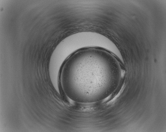 X0000068900186200605122109