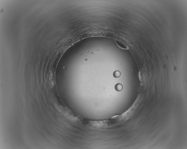 X0000068900187200605122109