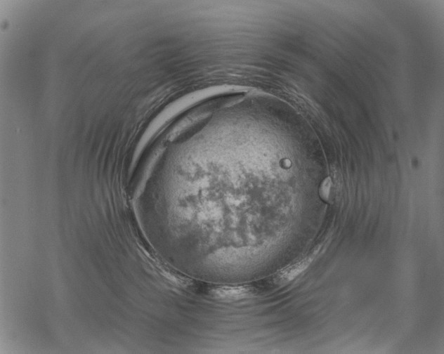 X0000068900189200605122109