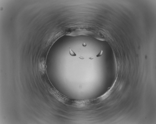 X0000068900190200605122109