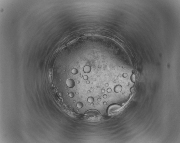 X0000068900191200605122109