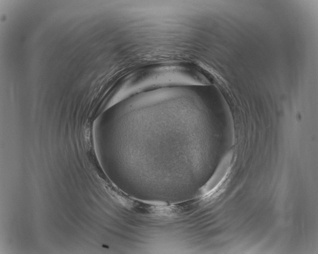 X0000068900192200605122109