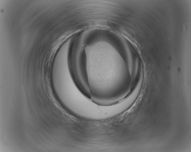 X0000068900193200605122108