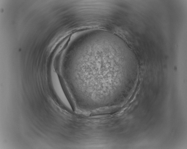 X0000068900194200605122108