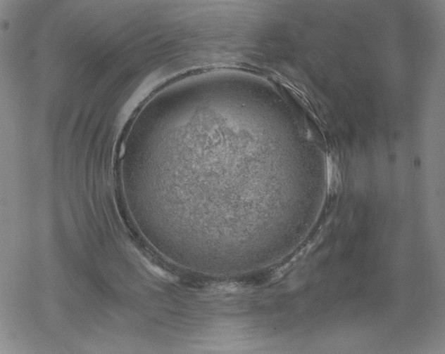 X0000068900195200605122108