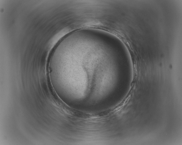 X0000068900196200605122108