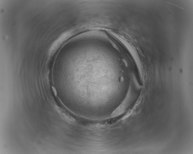 X0000068900197200605122108