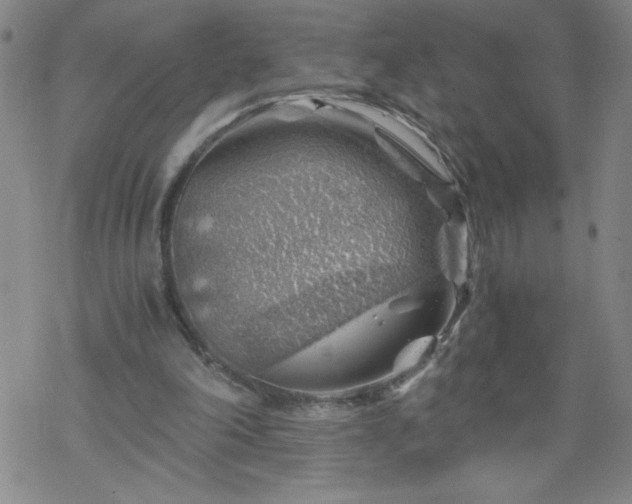 X0000068900198200605122108