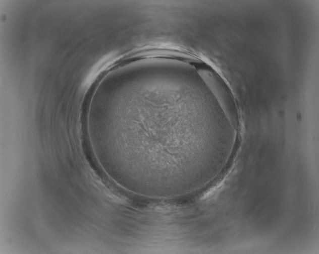 X0000068900199200605122108