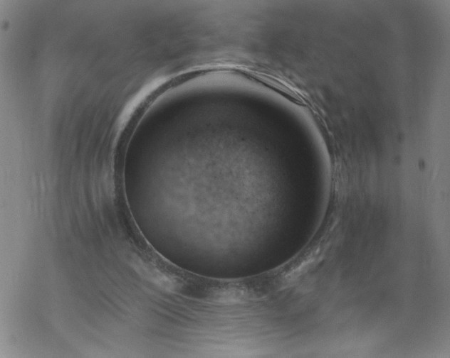 X0000068900200200605122108