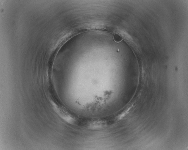 X0000068900202200605122108