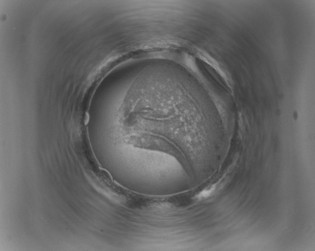 X0000068900203200605122108