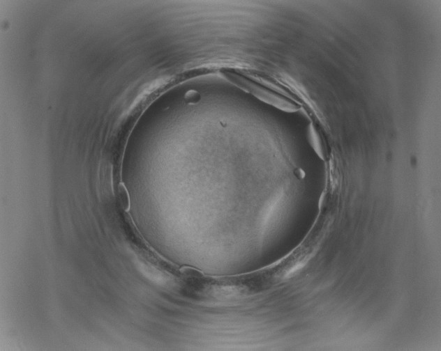 X0000068900205200605122108