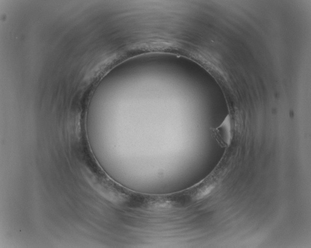 X0000068900206200605122108