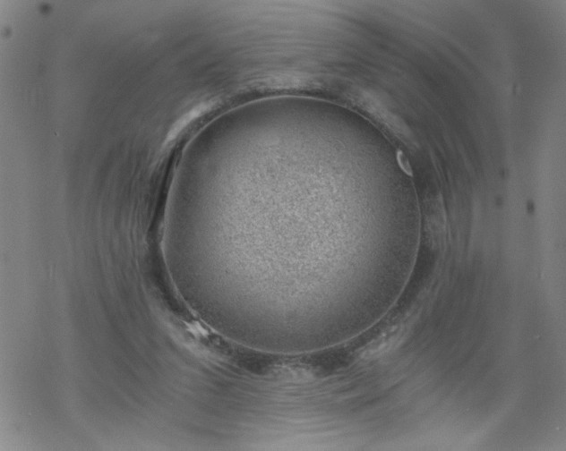 X0000068900207200605122108