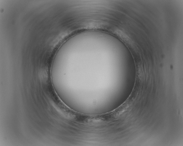 X0000068900208200605122108