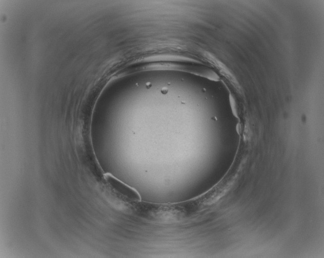 X0000068900209200605122108