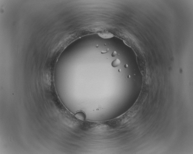 X0000068900210200605122108