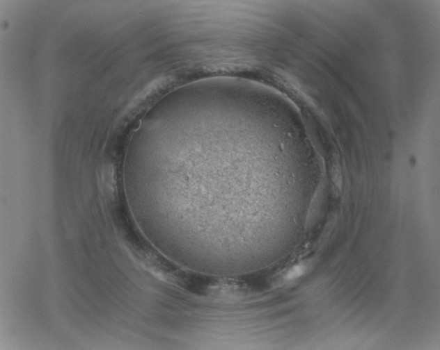 X0000068900211200605122108