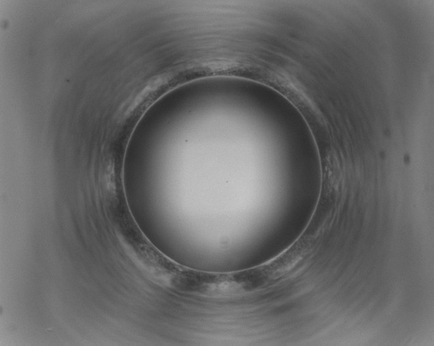 X0000068900212200605122108