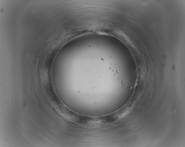 X0000068900213200605122108