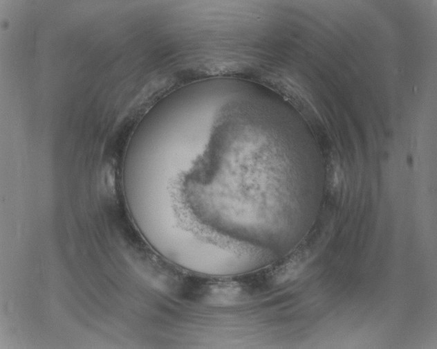 X0000068900214200605122108