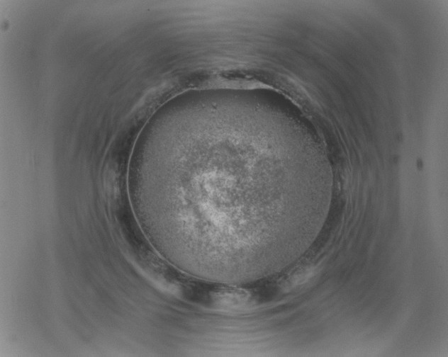 X0000068900215200605122108