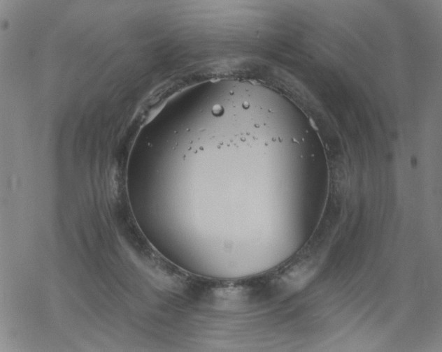 X0000068900216200605122108