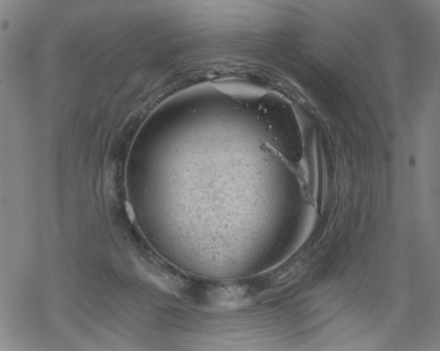 X0000068900217200605122108