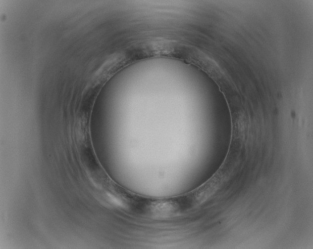 X0000068900218200605122108