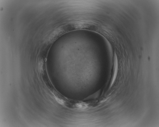 X0000068900219200605122108