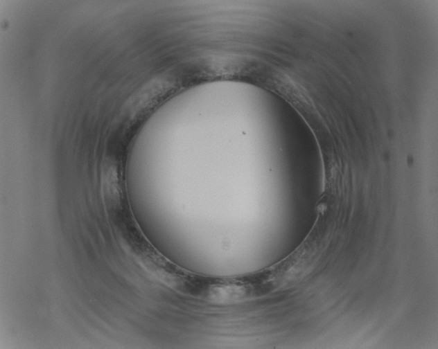 X0000068900220200605122108